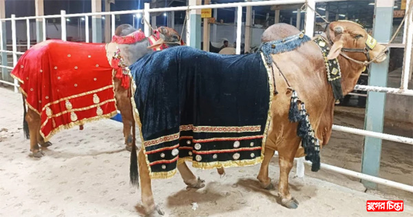 &lsquo;জায়েদ খান&rsquo; নারায়ণগঞ্জে, হাটে উঠবে শিগগিরই