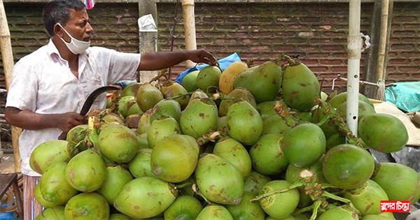 বাজার-হসপিটালের ডাবের দামে কেন এতো তারতম্য