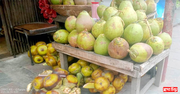 গরমে কদর বেড়েছে ডাব-তাল ও শরবতের