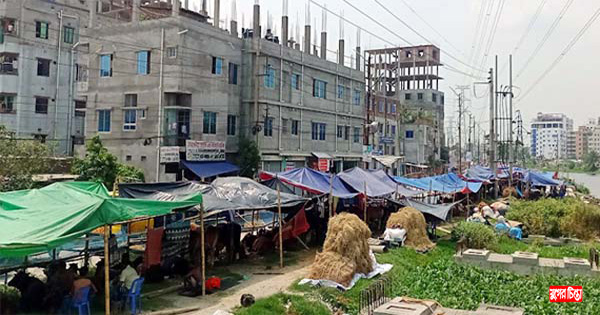 ইজারার শর্ত ভঙ্গ করে ডিএনডি লেক ও রাস্তায় পশুর হাট