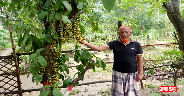 সোনারগাঁয়ে সফল ব্যক্তিত্ব বীর মুক্তিযোদ্ধা আব্দুছ ছোবহান