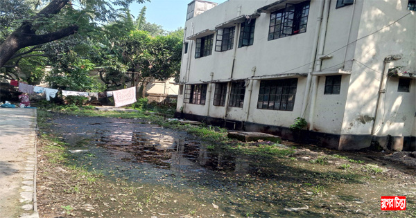 বেখেয়ালিপনায় সরকারি কোয়ার্টারে বাড়ছে ডেঙ্গু আতঙ্ক