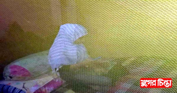 বন্দরে মশার উপদ্রবে অতিষ্ঠ এলাকাবাসী