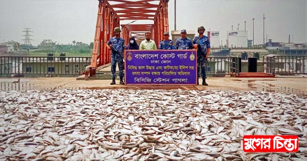 কোস্টগার্ডের অভিযানে ১২ হাজার কেজি জাটকা জব্দ
