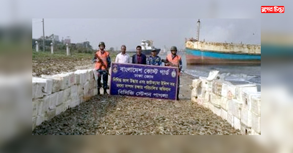 কোষ্টগার্ডের অভিযানে ১৫ হাজার কেজি জেলি পুশকৃত চিংড়ি জব্দ