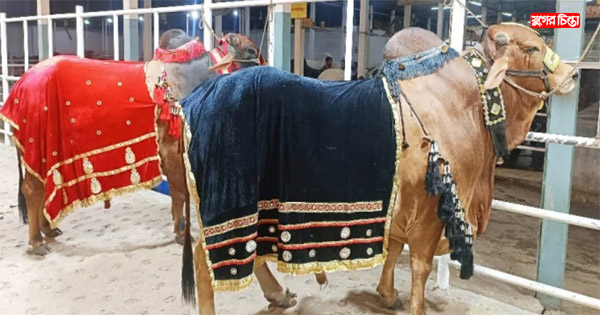 ১৪ লাখে বিক্রি হলো &lsquo;জায়েদ খান-পাঠান&rsquo;