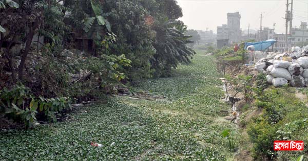 প্রাণ চায় &lsquo;গঞ্জে আলী খাল&rsquo;