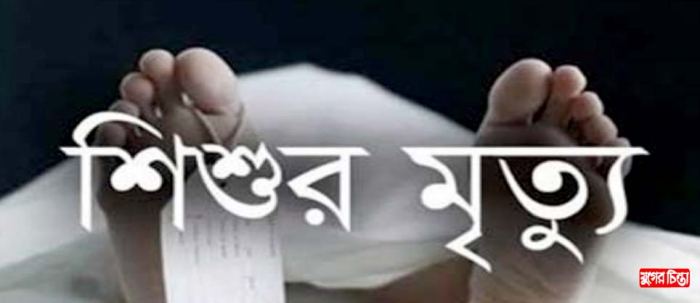 আড়াইহাজারে বাড়ির পাশে খেলতে গিয়ে শিশুর মৃত্যু