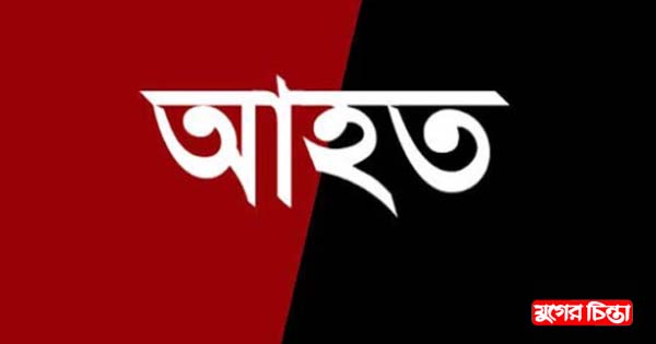 পূর্বশত্রুতার জেরে আবুল হাসনাত মৃধা&rsquo;র পরিবার আহত