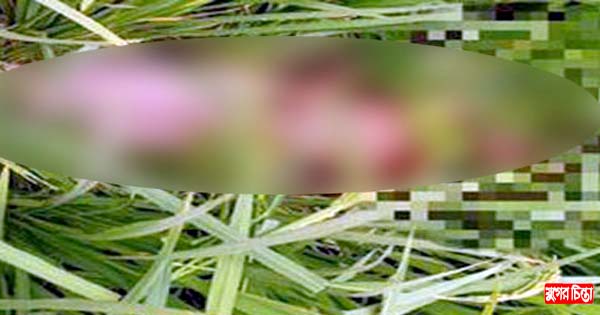 ধানক্ষেতে মিলল শিশুর মরদেহ
