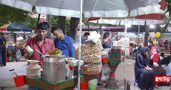 চাষাঢ়া শহীদ মিনার প্রাঙ্গণ এখন মিনিপার্ক