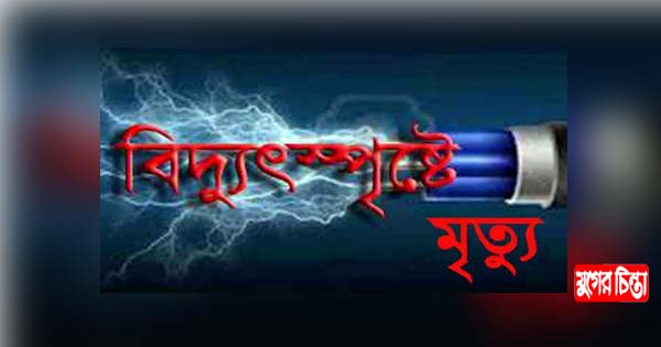 বন্দরে বিদ্যুৎস্পৃষ্ঠে বৃদ্ধের মৃত্যু