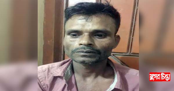 আড়াইহাজারে ৭ বছরের শিশুকে ধর্ষণ