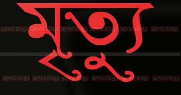 সোনারগাঁয়ে ট্রাক চাপায় বৃদ্ধার মৃত্যু