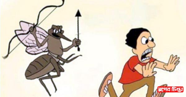 মশার যন্ত্রণায় অতিষ্ঠ নগরবাসী
