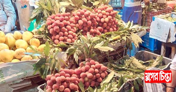 চারারগোপে শ&rsquo; লিচু বিক্রি হচ্ছে ৩০০ টাকায়, চাষাঢ়ায় ৫০০!