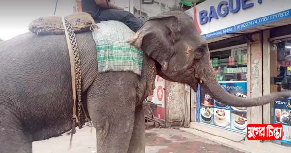 হাতি দিয়ে দিনদুপুরে শহরে চাদাঁবাজি