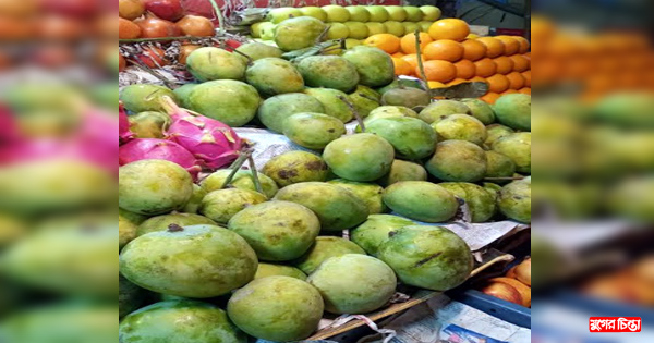 বাজারে উঠতে শুরু করেছে পাকা আম, দাম নাগালের বাইরে