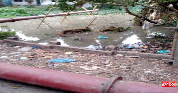 সোনারগাঁয়ে জোরপূর্বক পুকুর ভরাটের অভিযোগ