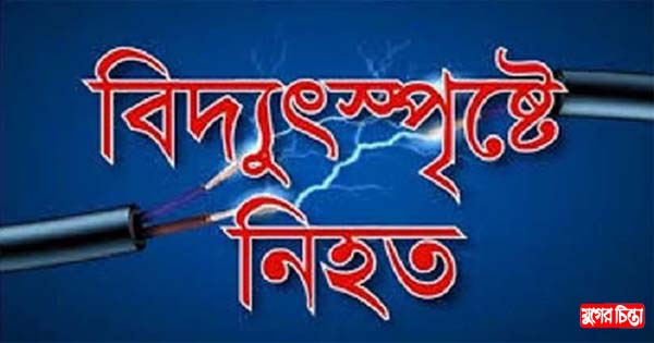 ফতুল্লায় মাছ ধরতে গিয়ে বিদ্যুৎস্পৃষ্টে যুবকের মৃত্যু