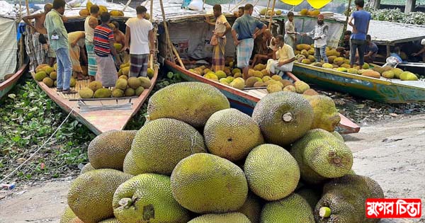 কাঁঠালের উপস্থিতি ব্যাপক, গরমে বিক্রি কম
