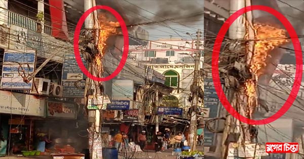 চাষাড়ায় বিদ্যুতের খুটিতে শর্ট সার্কিট আগুন