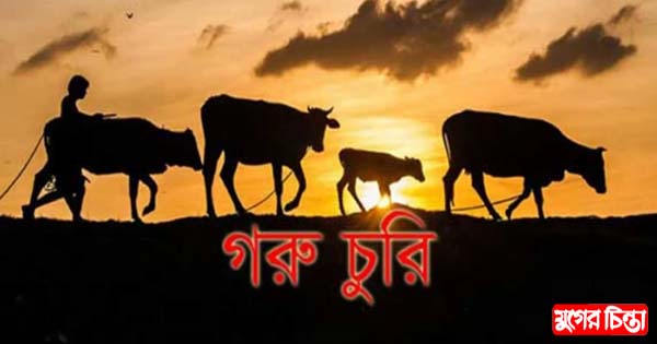 পানি খাওয়ার কথা বলে গরু চুরির চেষ্টা, নারীসহ আটক ৩
