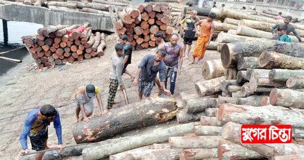 গাছের গুঁড়ি শ্রমিকদের কোলাহলে পূর্ণ থাকে চারারগোপ