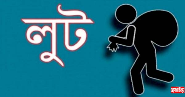আড়াইহাজারে খামার থেকে ১১ গরু লুট