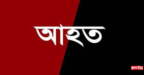 বন্দরে ডাব পাড়াকে কেন্দ্র করে মা-মেয়েসহ আহত ৩