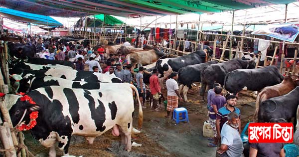 সোনারগাঁয়ে ১৫ টি অস্থায়ী হাটের ইজারা