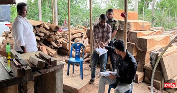 আড়াইহাজারে অবৈধ করাতকল মালিককে জরিমানা