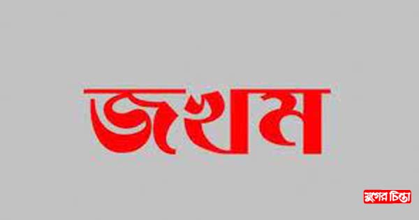 বন্দরে পাগলা কুকুরের কামড়ে দুই শিশু জখম