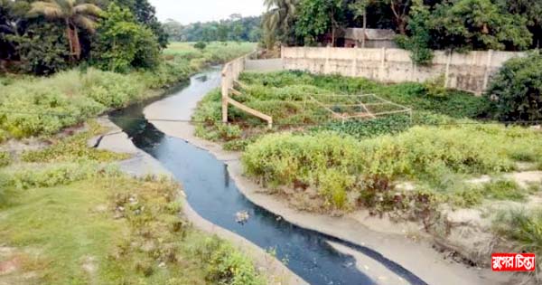 সোনারগাঁয়ের ব্রহ্মপুত্র নদ ও স্থানীয় খালের পানিতে কালো বিষ