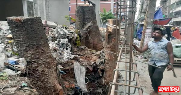 অহেতুক কারণে পোস্টঅফিসের বিরলপ্রায় বৃক্ষনিধন