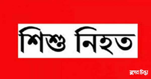 আড়াইহাজারে দুই শিশু নিহত