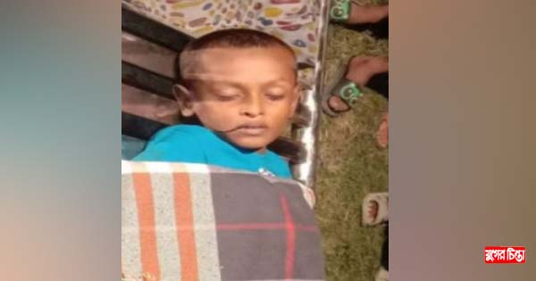 কাঁচপুরে বাবার লাঠির আঘাতে চিকিৎসাধীন অবস্থায় ছেলের মৃত্যু