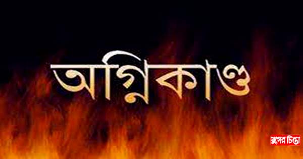 সোনারগাঁয়ে আগুনে ২ গরু পুড়ে ছাই