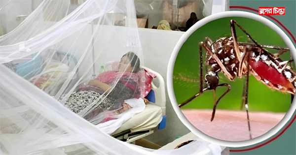 (সোলডার) না.গঞ্জে ডেঙ্গুর ভয়াবহতা &nbsp;ছয় মাসে শনাক্ত ৫০