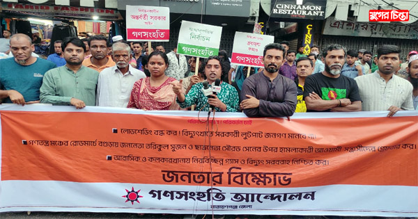 তারা দেশের সম্পদ সার্বভৌমত্বকে হুমকির মুখে ফেলেছে: তরিকুল সুজন