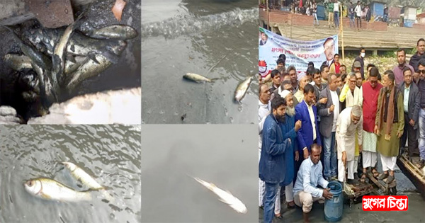 শীতলক্ষ্যায় পোনা মাছ অবমুক্তকরণের&nbsp;পাঁচ মিনিট পরেই মরে ভেসে উঠলো