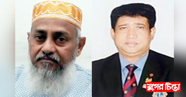স্বপনের বড় বাধা আনারসের দেলোয়ার