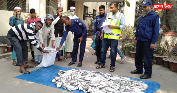 সদর নৌ-থানা পুলিশ কর্তৃক জাটকা মাছ জব্দ