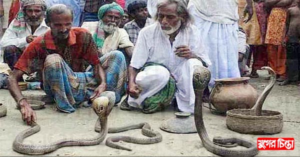 আদি পেশা ছেড়ে দিচ্ছে বেদে পল্লীর লোকজন