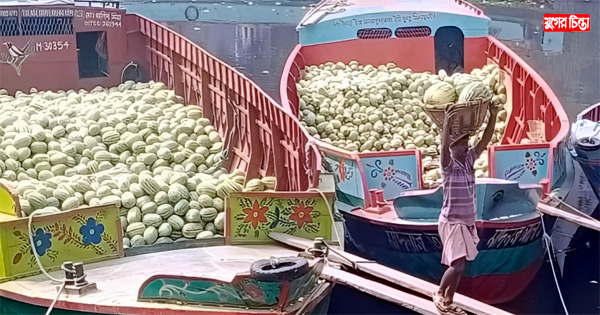 তরমুজে বিক্রিতে পাইকারিতে&nbsp;ক্ষতি, খুচরায় লাভ দ্বিগুণ