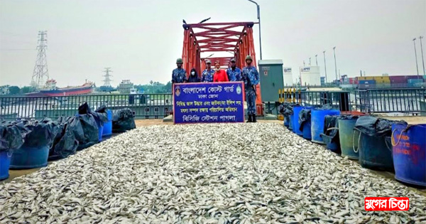 কোস্ট গার্ডের অভিযানে ৮ হাজার&nbsp;৩০০ কেজি জাটকা জব্দ