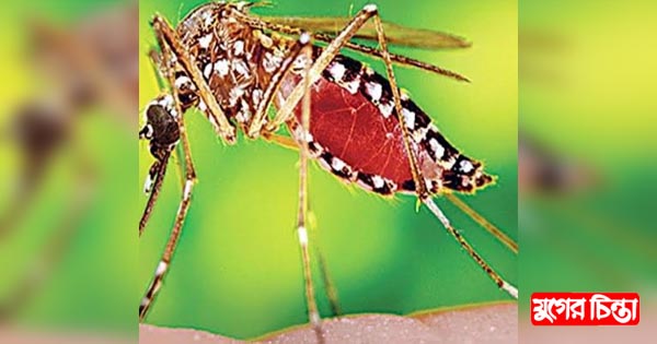ফতুল্লার বিভিন্ন এলাকায় মশার যন্ত্রণায় অতিষ্ঠ জনজীবন