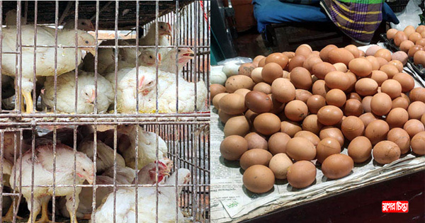 সরকারের বেঁধে দেয়া দামে&nbsp;বিক্রি হচ্ছে না ডিম-মুরগি