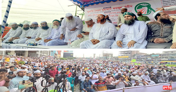 ইসলামের সৌন্দর্য জাতির সামনে তুলে ধরতে চাই : মুফতী ফয়জুল করীম