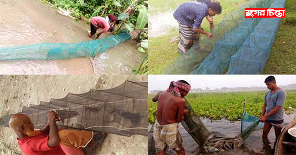 সোনারগাঁয়ে নিষিদ্ধ চায়না দুয়ারিতে মাছ শিকার; হুমকিতে জীববৈচিত্র্য